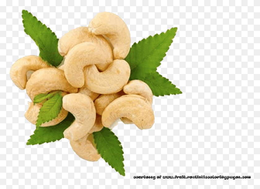 983x697 Rambutan Clipart Cashew Nut, Plant, Vegetable, Food HD PNG Download