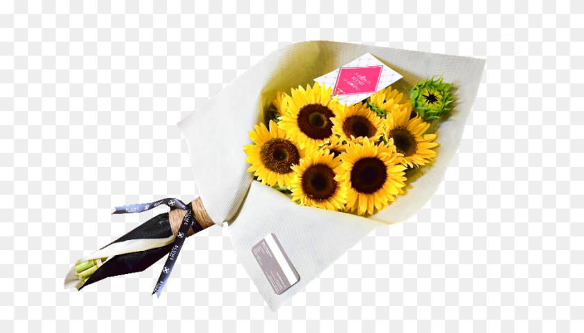 659x419 Ramo De Girasoles Sunflower, Plant, Flower, Blossom HD PNG Download