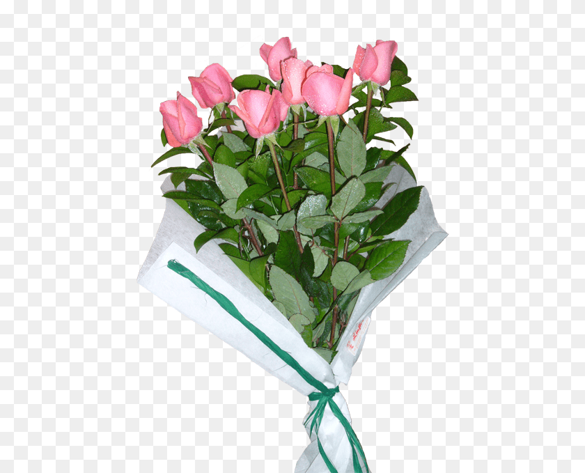 451x679 Ramo De Rosas, Flower, Flower Arrangement, Flower Bouquet, Plant PNG