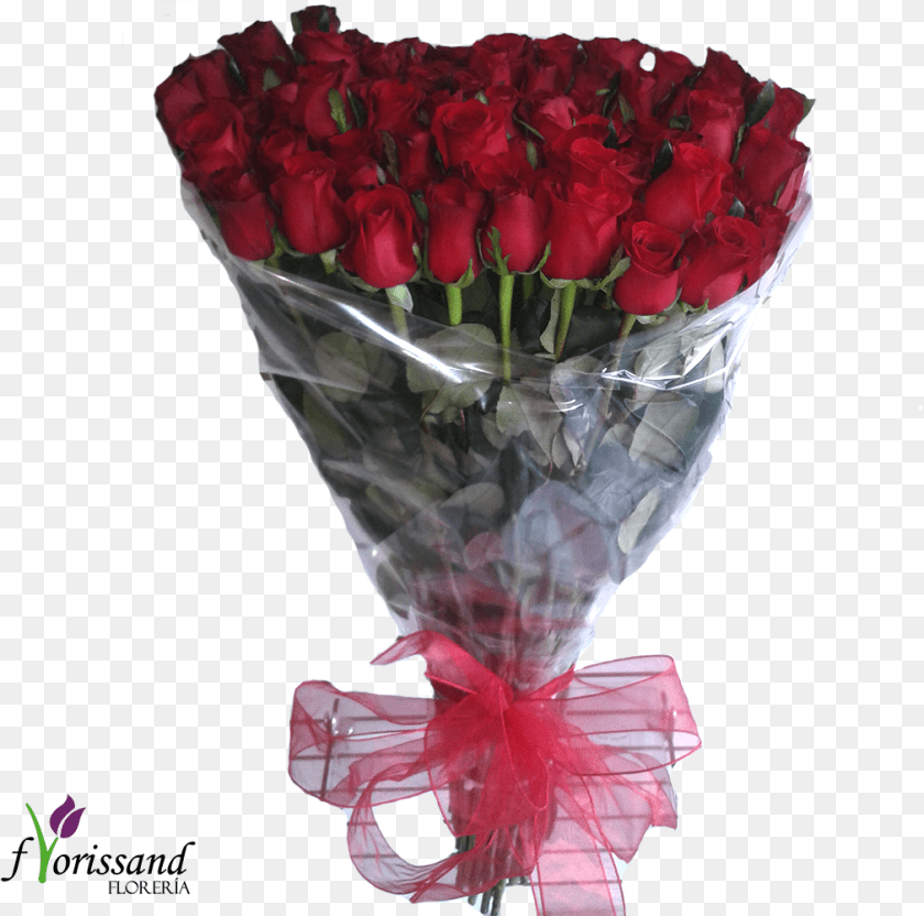 Ramo De Rosas Celofan Docena De Rosas Con Celofan, Rose, Flower, Flower Arrangement, Flower Bouquet PNG
