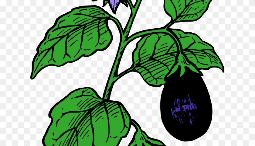 Random Cliparts, Vegetation, Green, Herbal, Herbs Transparent PNG