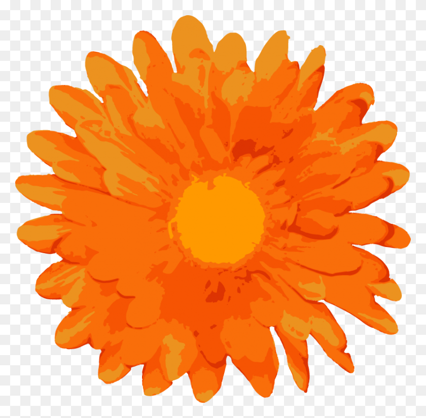 833x816 Random Free Flower Vectors Free Vector Orange Flower Vector, Plant, Blossom, Daisy HD PNG Download