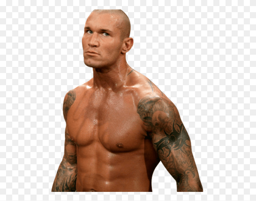 508x601 Randy Orton, Skin, Person, Human HD PNG Download