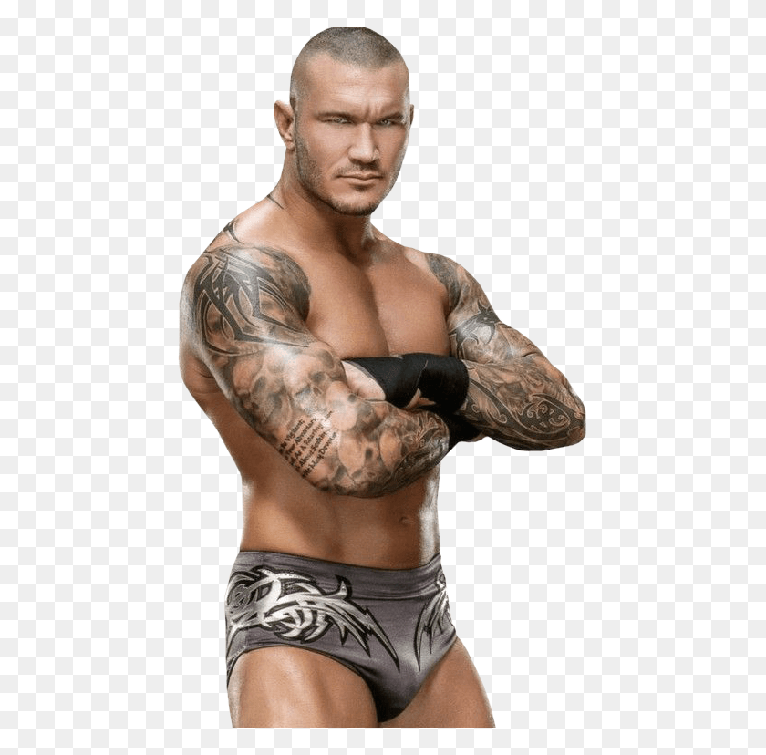 451x768 Randy Orton Picture Randy Orton 2016, Skin, Tattoo, Person HD PNG Download
