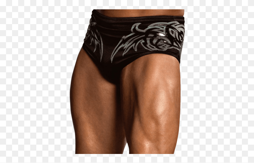 384x481 Randy Orton Transparent Images Briefs, Clothing, Apparel, Underwear HD PNG Download