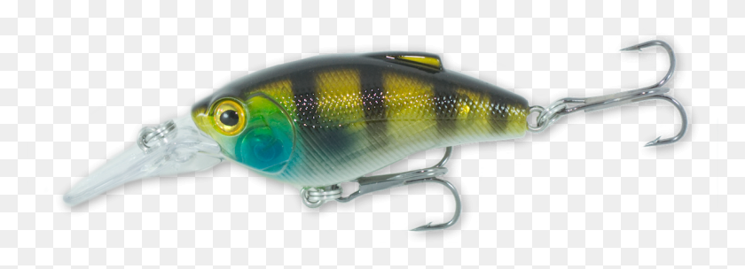 1201x376 Ranger Ghost Bluegill Bait Fish, Perch, Animal HD PNG Download