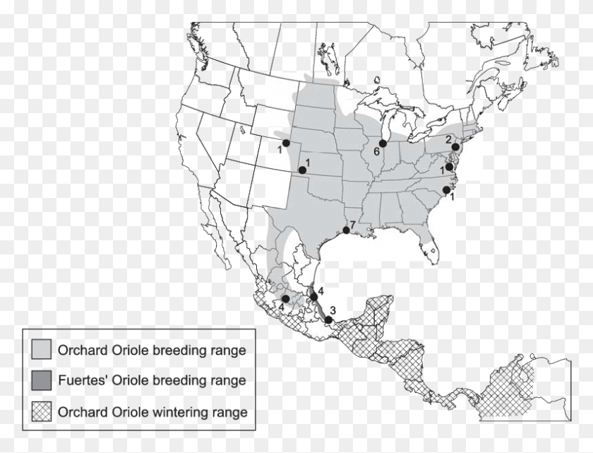 794x592 Ranges Of Orchard And Fuertes39s Orioles Loggerhead Shrike Range, Plot, Map, Diagram HD PNG Download