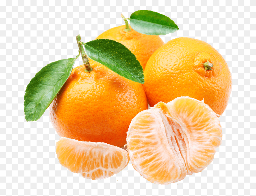 688x584 Rangpur, Plant, Citrus Fruit, Fruit HD PNG Download