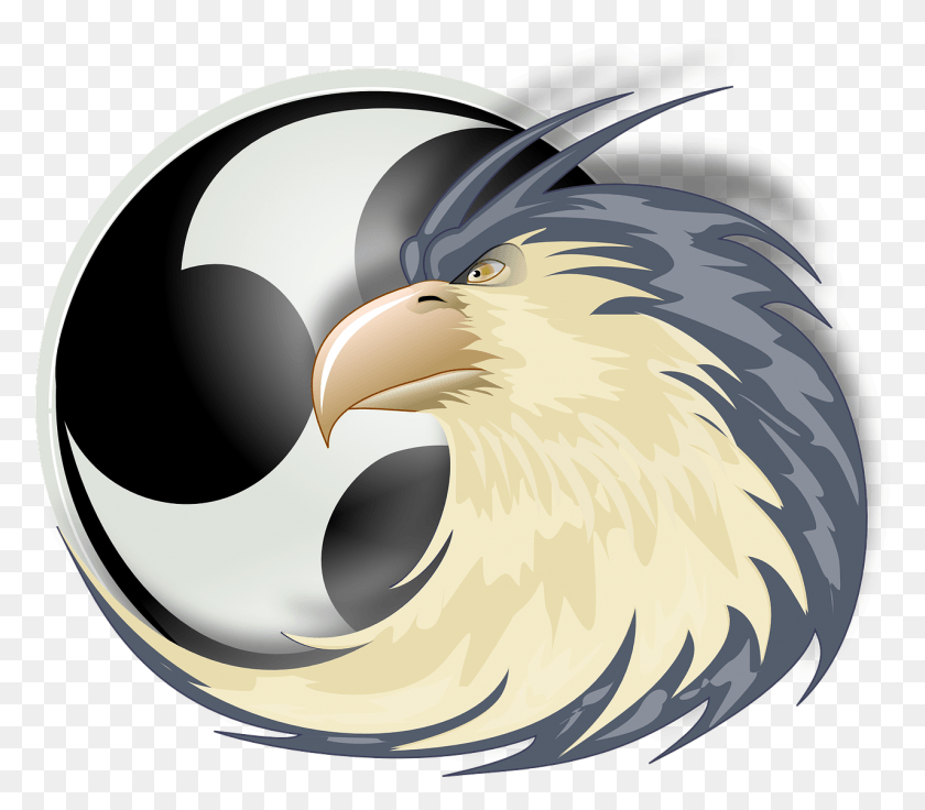 1278x1109 Raptor Bird Of Image Picpng Self Defense Atlanta, Eagle, Animal, Beak HD PNG Download