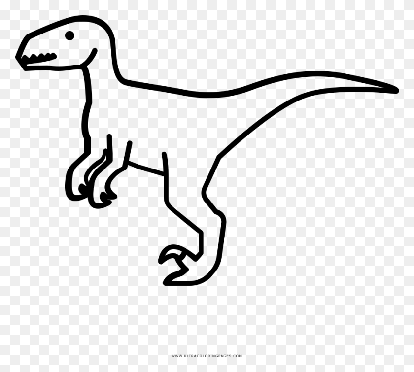 903x805 Raptor Coloring, Gray, World Of Warcraft HD PNG Download