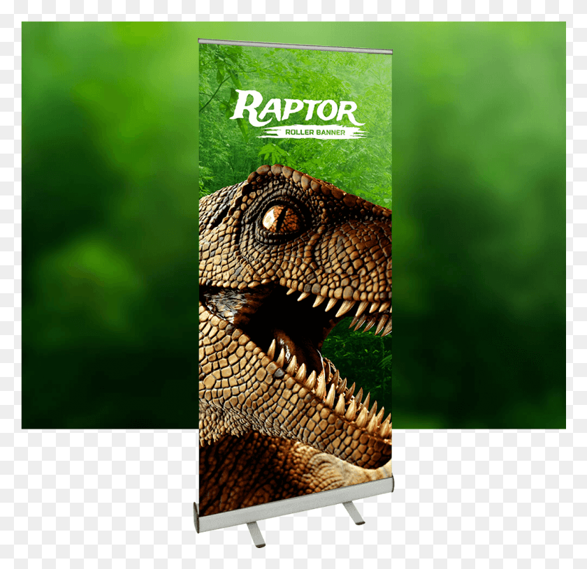 1001x970 Изображение Продукта Raptor С Фоновым Баннером, Динозавр, Рептилия, Животное Hd Png Скачать