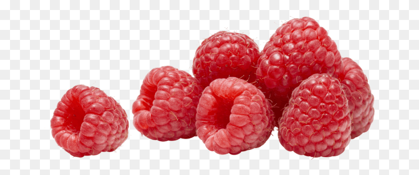 666x291 Raspberries, Raspberry, Fruit, Plant HD PNG Download
