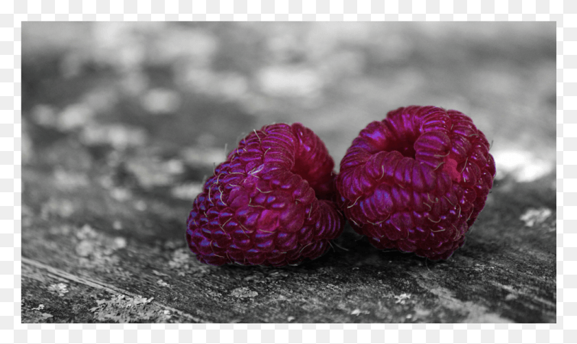 1001x567 Raspberries, Raspberry, Fruit, Plant HD PNG Download