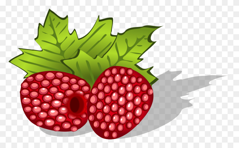 1272x750 Raspberries Avietes Berries Uogos Food Raspberry Clipart, Plant, Strawberry, Fruit HD PNG Download