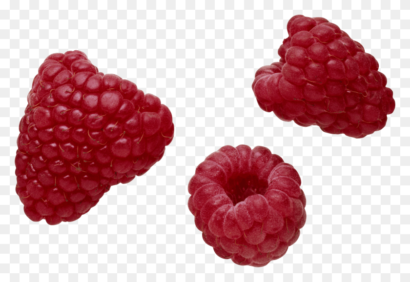 2573x1709 Raspberry, Fruit, Plant, Food HD PNG Download