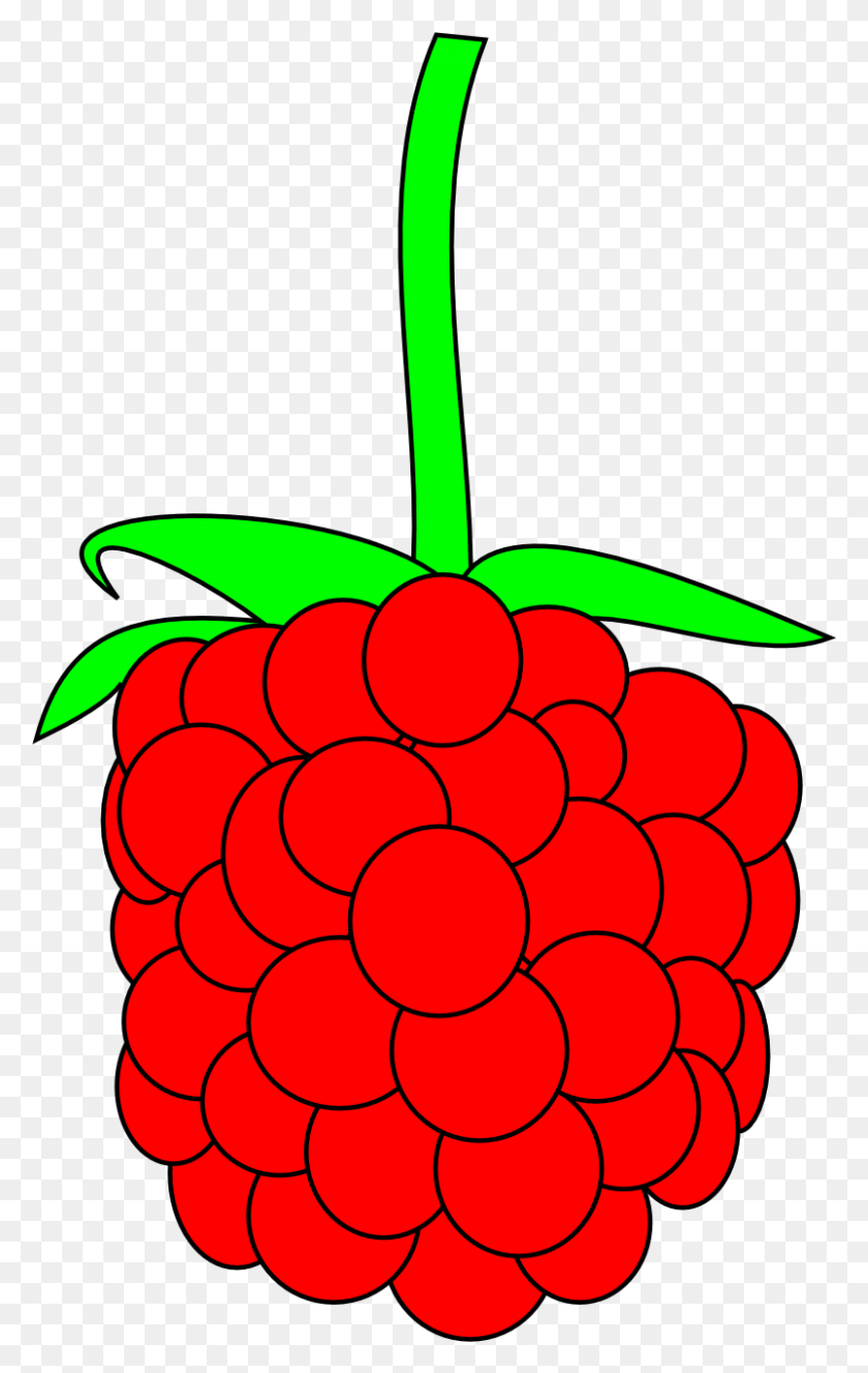 803x1305 Raspberry Clipart Berry Clipart, Plant, Fruit, Food HD PNG Download