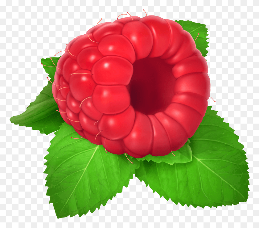 2907x2530 Raspberry Clipart Raspberry Clipart, Fruit, Plant, Food HD PNG Download