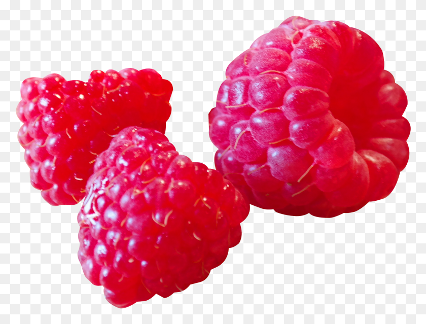 1460x1085 Raspberry Image Raspberry, Fruit, Plant, Food HD PNG Download
