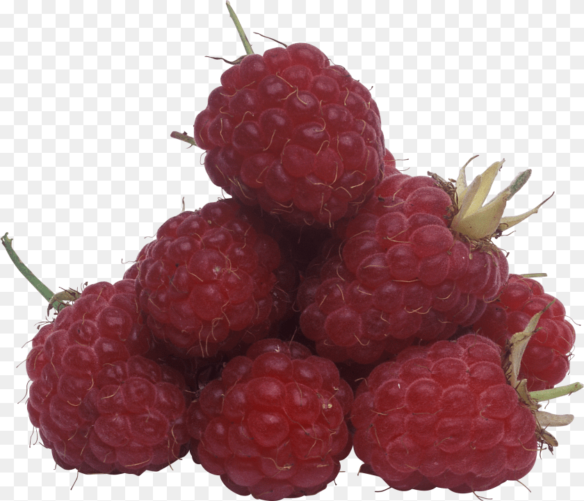 Raspberry Raspberry Transparent PNG