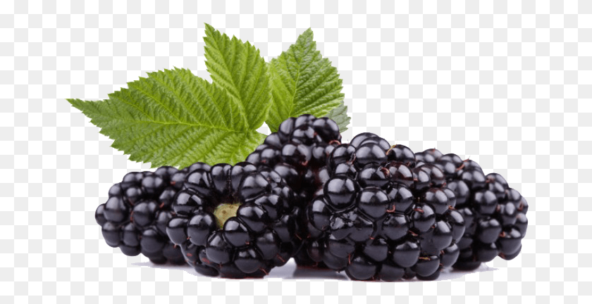 660x372 Raspberry Transparent Images Black Raspberry, Plant, Fruit, Food HD PNG Download