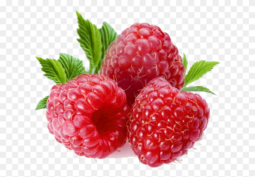 612x523 Raspberry Transparent Raspberries Fruit, Plant, Food HD PNG Download