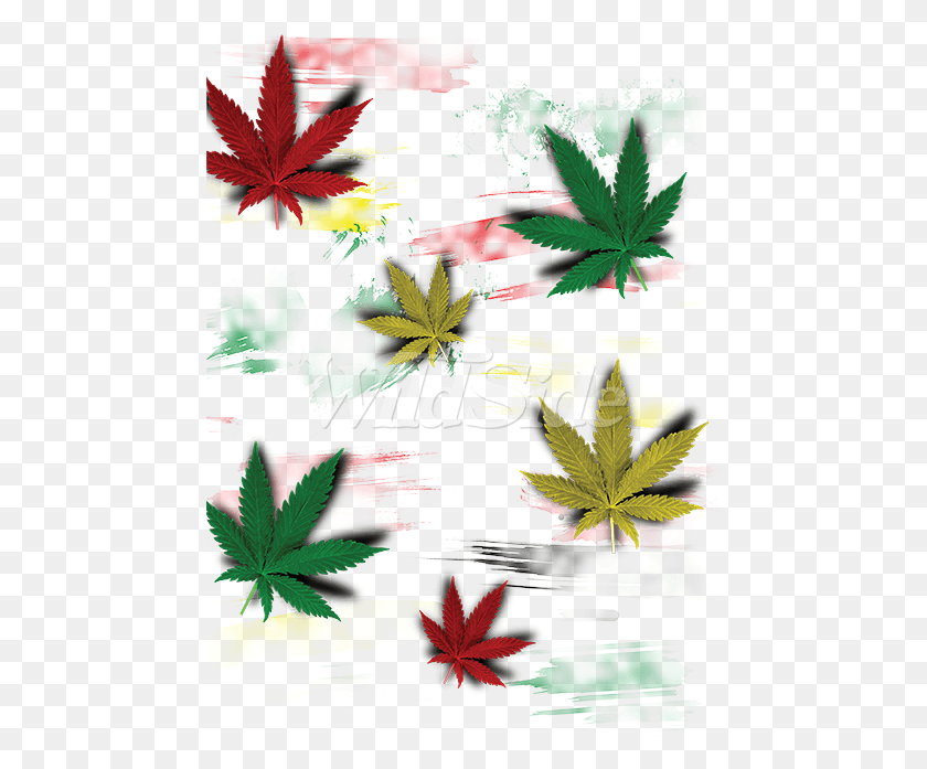 467x637 Раста Многоцветный Горшок Листья Конопли, Лист, Растение, Сорняк Png Скачать
