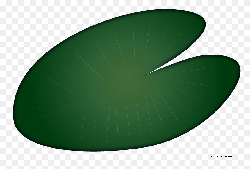 779x510 Descargar Png Raster Clipart Water Lily Leaf Heart, Planta, Verde, La Astronomía Hd Png