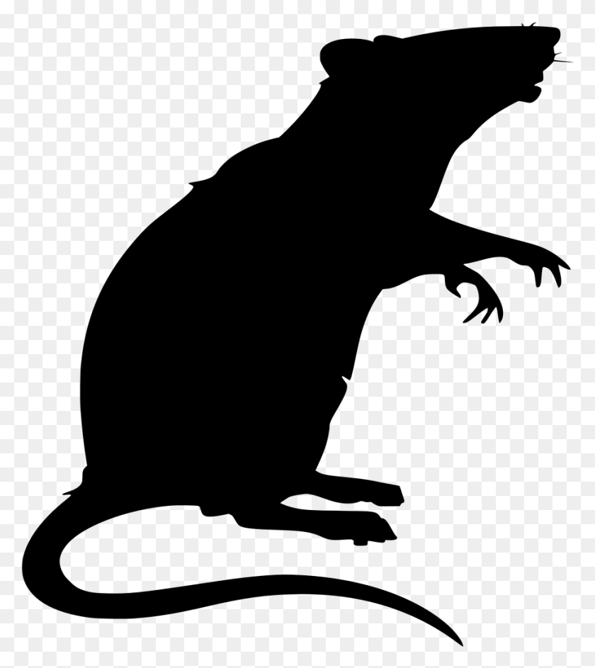 905x1025 Rat, Gray, World Of Warcraft HD PNG Download