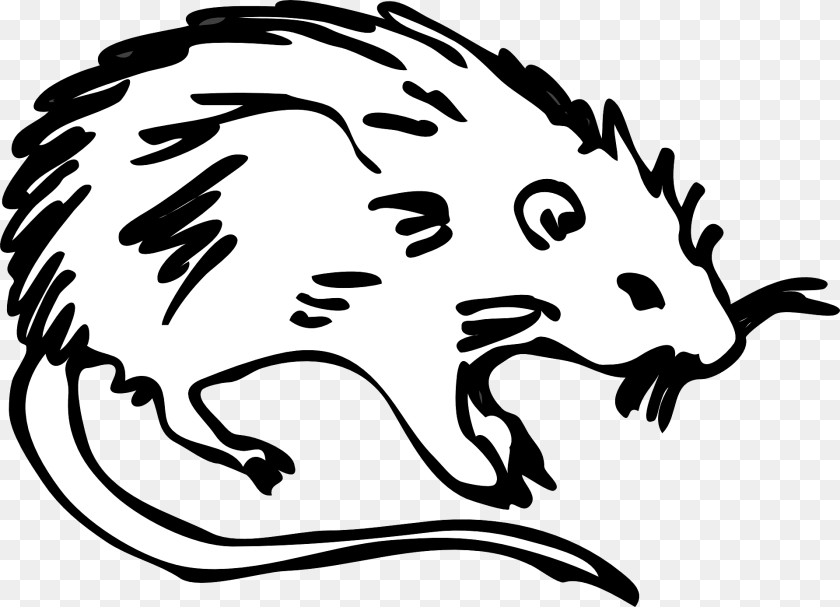 Rat Baby, Person, Animal, Mammal Clipart PNG