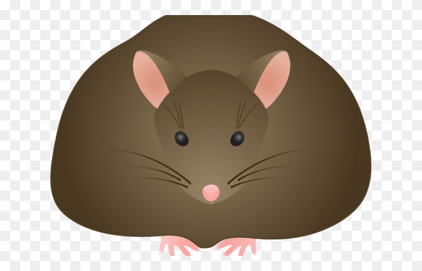 640x480 Rat Clipart Field Mouse Cartoon, Rodent, Mammal, Animal HD PNG Download