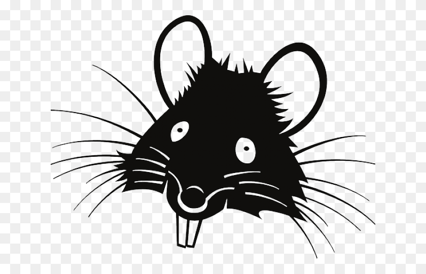 640x480 Png Крыса, Млекопитающее, Животное, Грызун Png Скачать Бесплатно