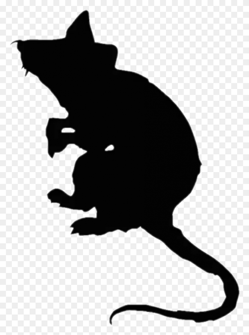 874x1198 Rat Sticker Illustration, Stencil, Animal HD PNG Download