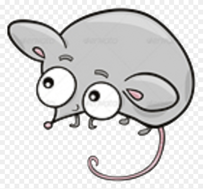 973x901 Rata Cute Mouse, Animal, Helmet, Clothing HD PNG Download
