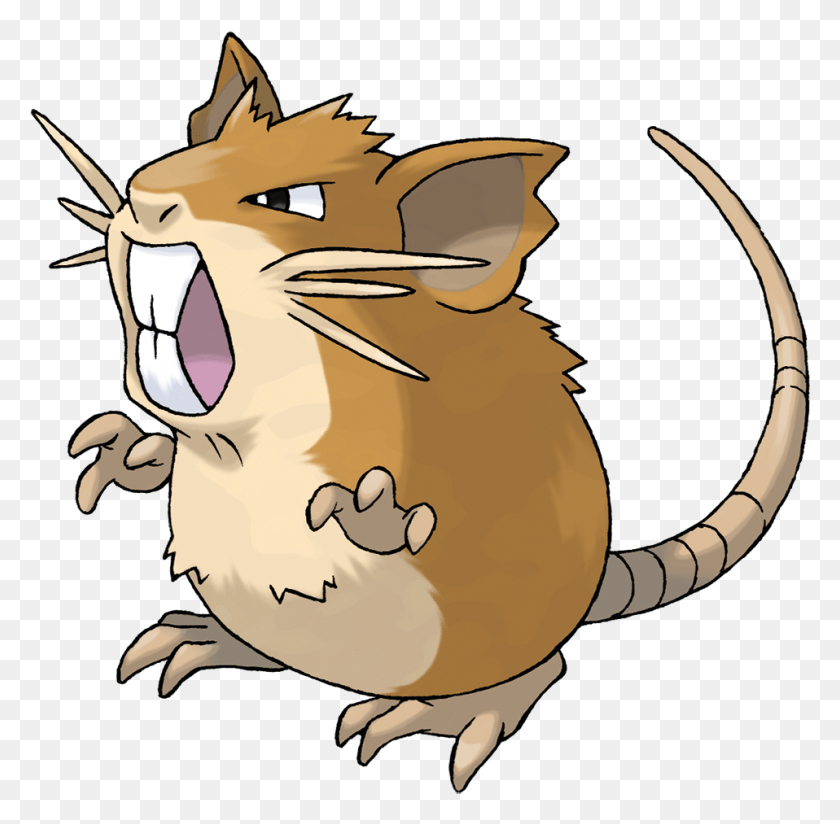 958x939 Raticate Rattata Pokemon, Mammal, Animal, Rodent HD PNG Download