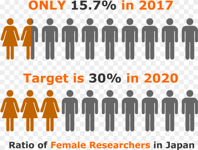 896x683 Ratio Of Female Researchers In Japan Many Genders Are There, Person, Adult, People, Man Sticker PNG