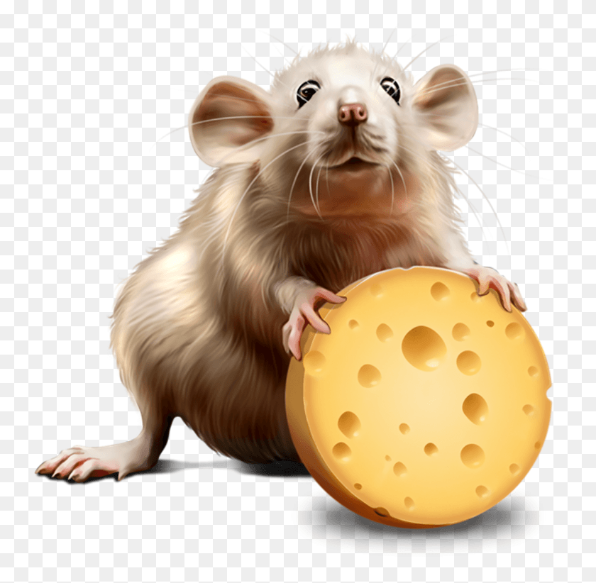 746x762 Raton Rata Halloween, Rodent, Mammal, Animal HD PNG Download