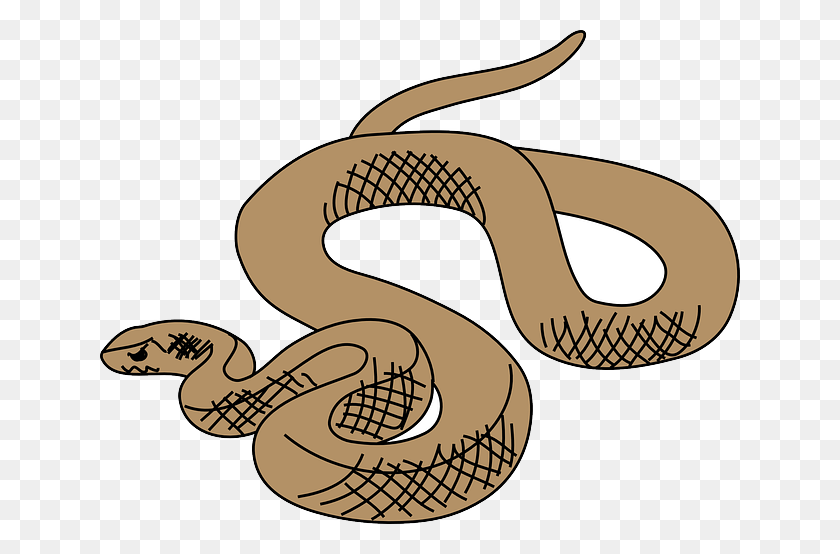 640x494 Rattlesnake Clipart Grass Snake Brown Tree Snake Clip Art, Reptile, Animal, Cobra HD PNG Download