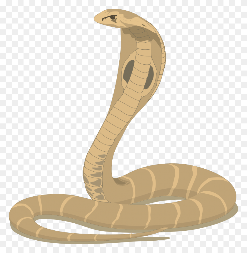 1988x2043 Rattlesnake Clipart Simple Snake Wish Happy Nag Panchami, Reptile, Animal, Cobra HD PNG Download