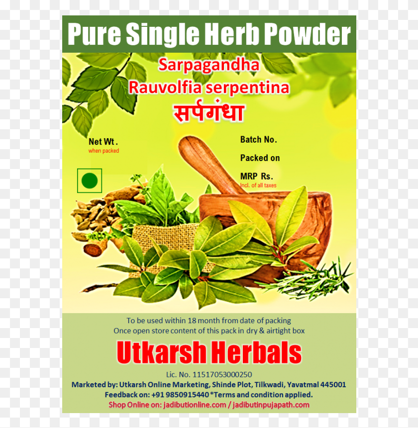592x801 Rauvolfia Serpentina Ayurvedic Treatment Diabetes, Advertisement, Flyer, Poster HD PNG Download