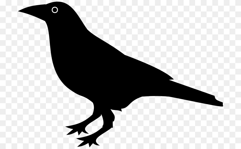 Raven Sticker PNG