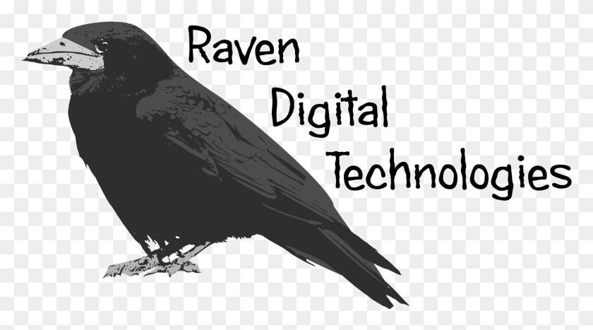 1703x890 Raven Bird Of Prey, Animal, Crow HD PNG Download