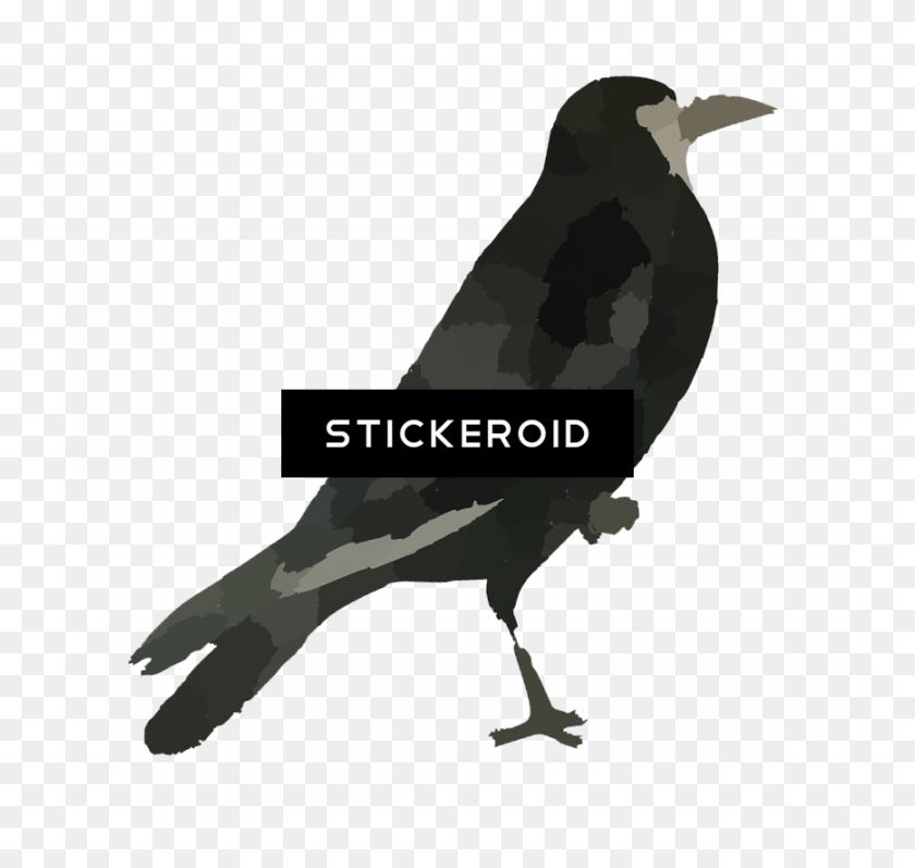 868x821 Raven Bird Raven Transparent Background Black, Crow, Animal, Blackbird HD PNG Download