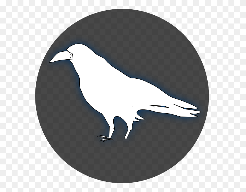 600x594 Raven Black Clip Art White Raven Clipart, Animal, Bird, Crow HD PNG Download