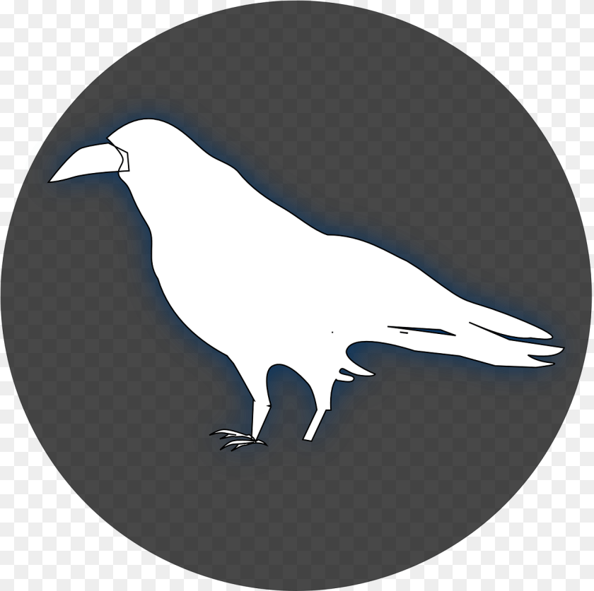 Raven Clip Art White, Animal, Beak, Bird, Silhouette Transparent PNG