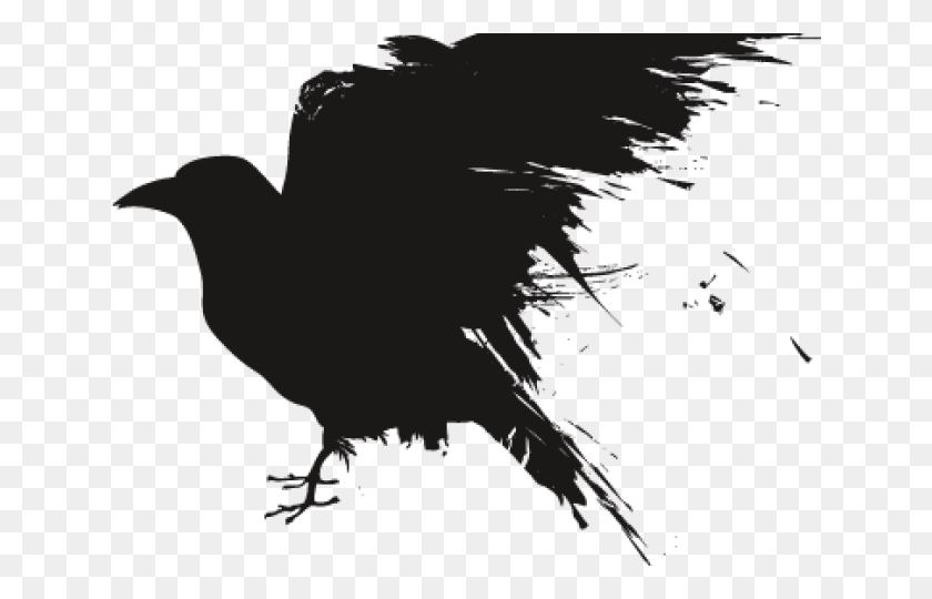 640x480 Raven Clipart Cool Raven, Animal, Bird HD PNG Download
