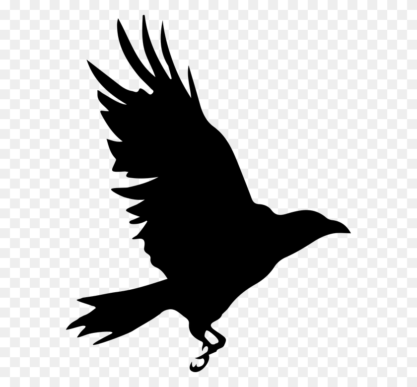 574x720 Raven Clipart Raptor Bird Silueta Cuervo, Gray, World Of Warcraft HD PNG Download