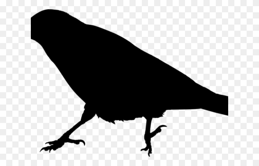 640x480 Raven Clipart Raven Bird Crow Silhouette Transparent Background, Gray, World Of Warcraft HD PNG Download
