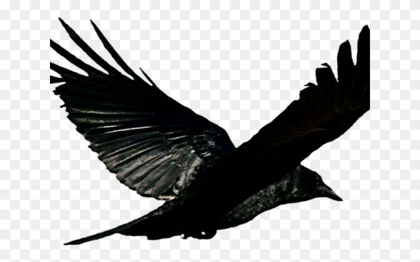 641x465 Raven Clipart Svg Raven Transparent, Animal, Blackbird, Bird HD PNG Download