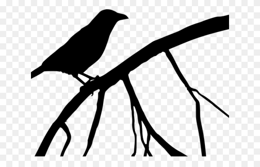640x480 Raven Clipart Tree Silhouette Blackbird The Beatles, Nature, Outdoors, Night HD PNG Download