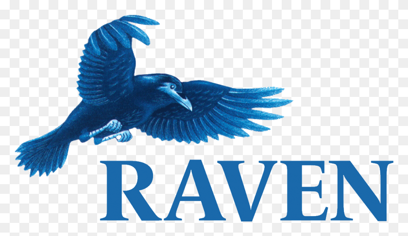 1056x579 Raven Computers Raven Design, Bird, Animal, Logo HD PNG Download